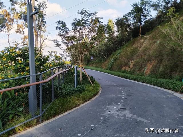 从地铁口出发,游逛刚刚开放的鲲鹏径二号及三号桥