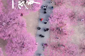 你好武汉︱武汉多所学校调整：时间延长！图片