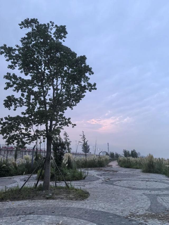 长江边一晚游——一个美好的晚上