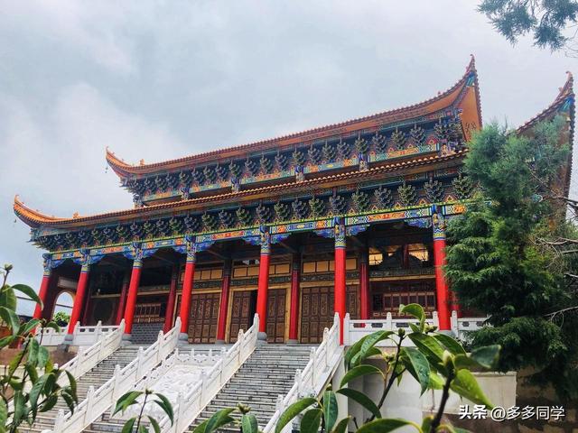楚雄紫溪山：一棵叫“撑腰”的老树，用六百多年接住了凡人的期待