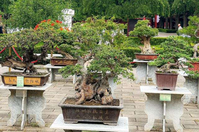 北京景山公园 藏尽千年风华