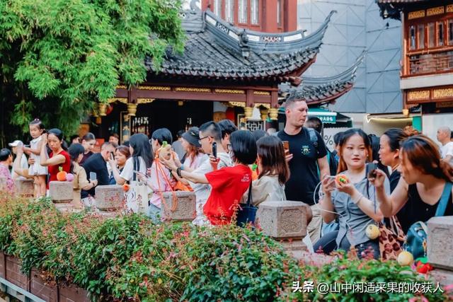 “Wmls”集合了！豫园又又又又又爆了！！！