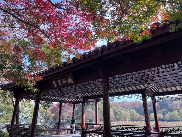 如花如画，每年一见的杭州红叶季到了，错过再等一年。