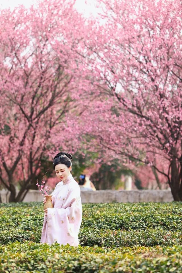 冬日寻梅记：黄陂这两处秘境，已被梅香腌入味！