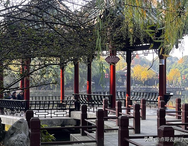 成都被私藏的彩林公园，流金溢彩，充满老城烟火气，地铁公交直达