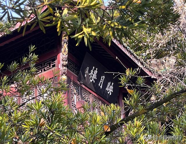 成都被私藏的彩林公园，流金溢彩，充满老城烟火气，地铁公交直达