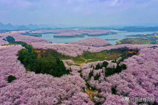 三月这 12 个地方才是春天天花板，一到 3 月就美到不想回家