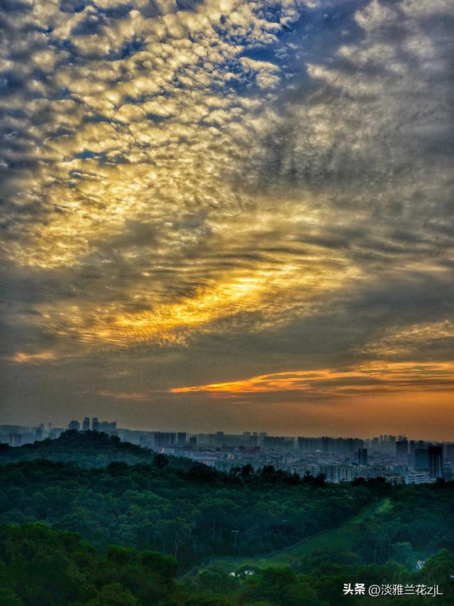 重阳节，登高远望城市风光。