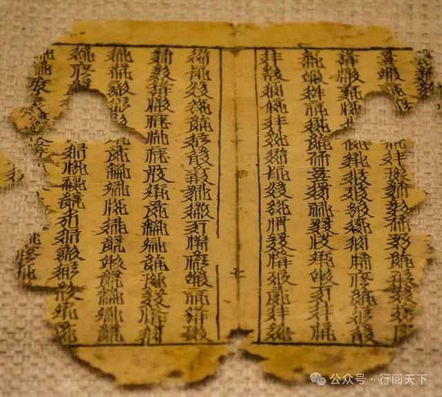 额济纳，额济纳，秋天必须要去额济纳，与金色胡杨林相遇