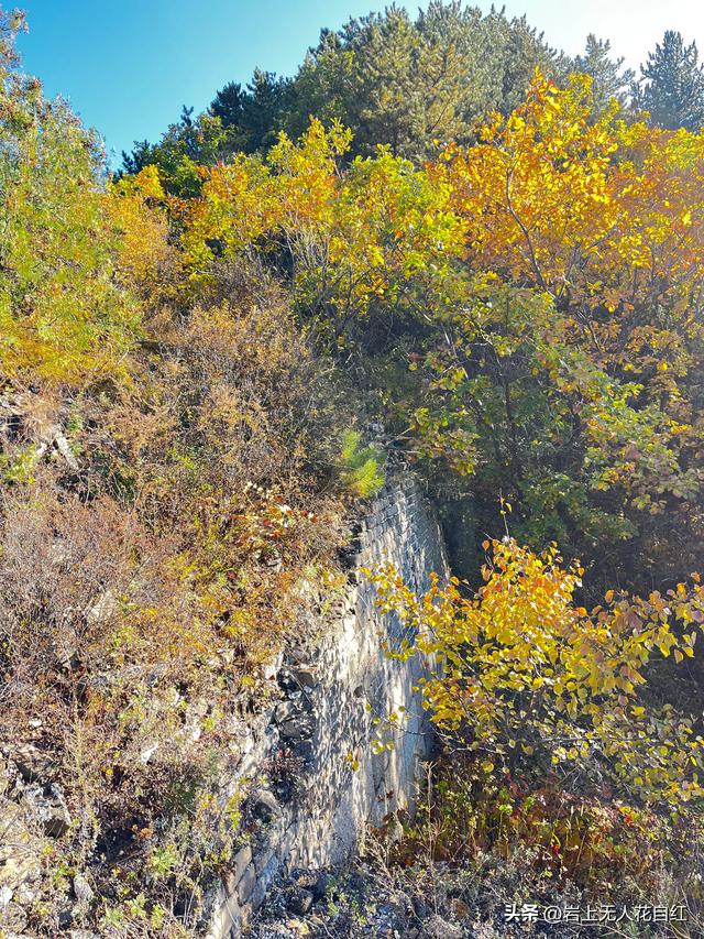 长城徒步之94：密云烧香峪、五虎门、黑谷关长城秋色