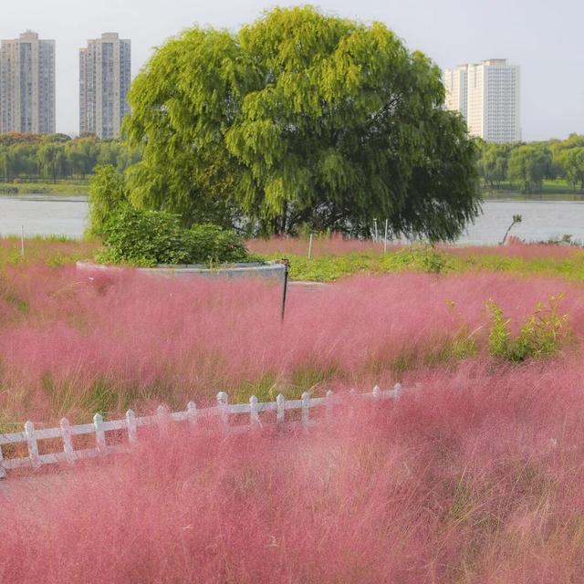 汉阳，变色……了