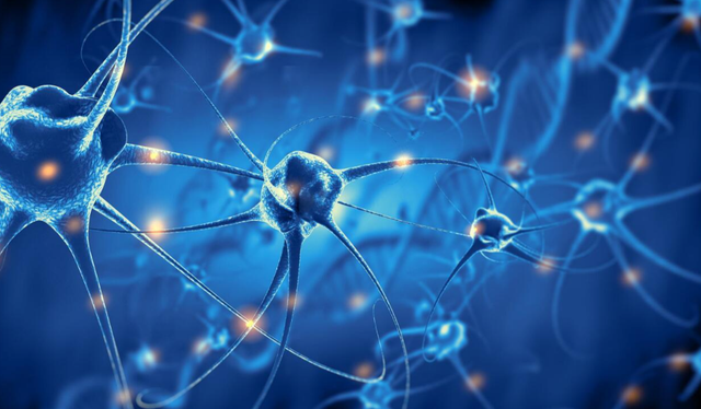 AI学大脑干活！南加大搞出“仿生神经元”单晶体管解困局