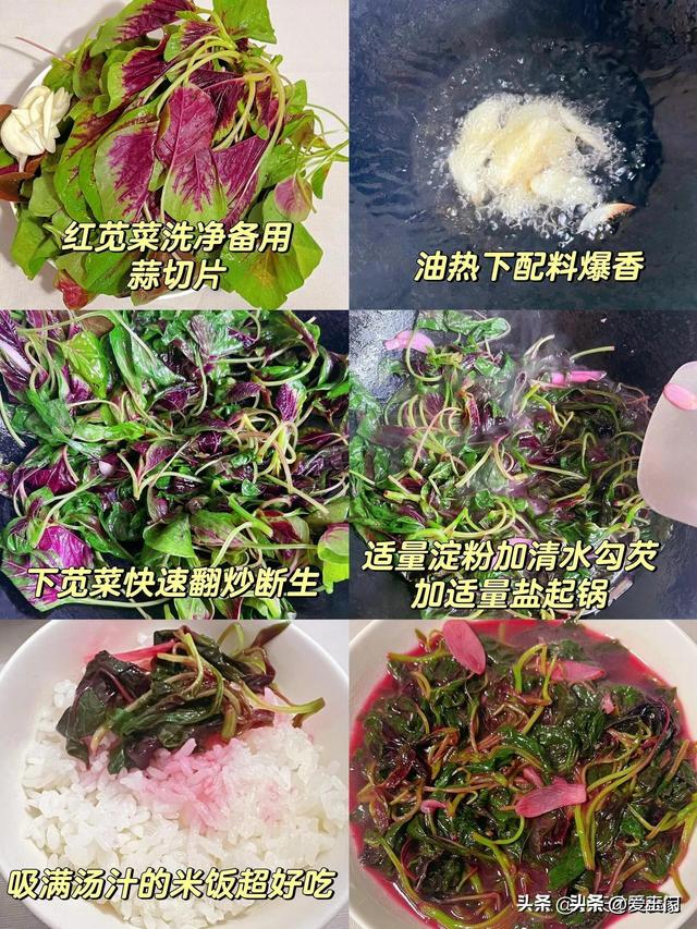 三伏天，多吃这几道菜，不放味精都鲜，清热去火，化湿解暑正当季