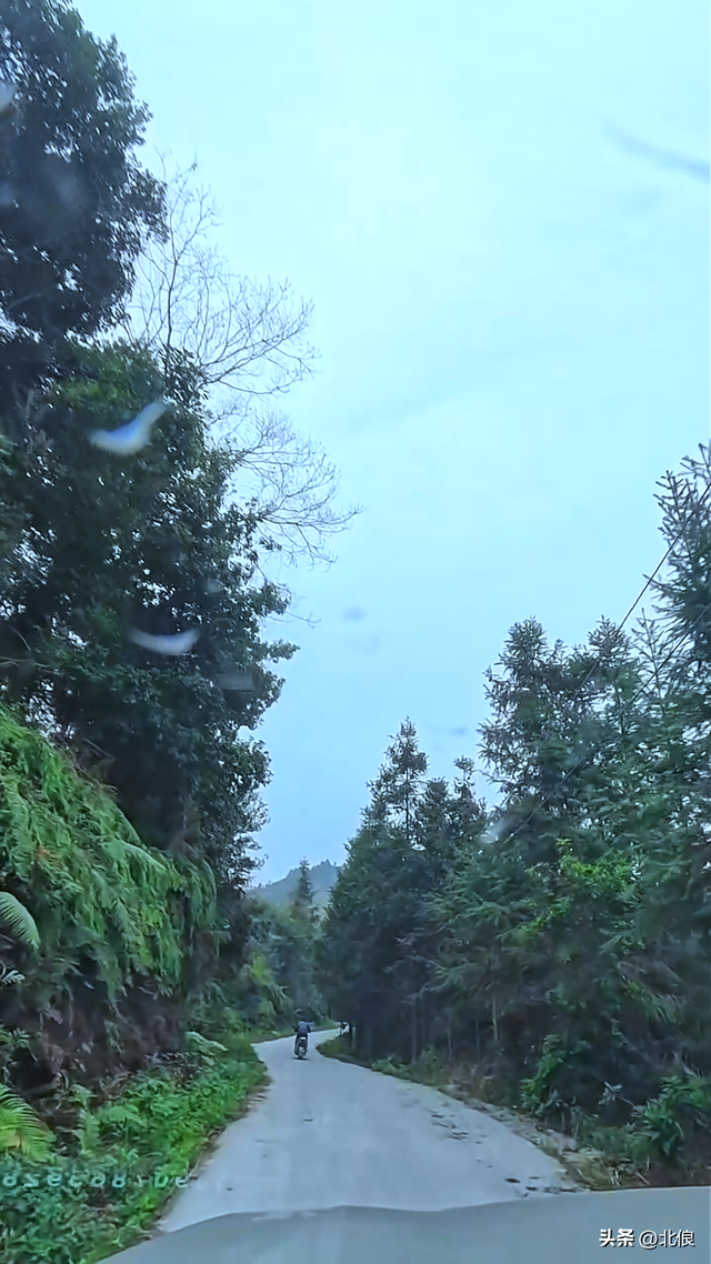 都留村竟存在两种不同的泉水。第一集：都留村的优质软水