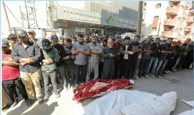 简直不配为人！联合国报告揭开加沙残酷真相，以色列恶心嘴脸曝光