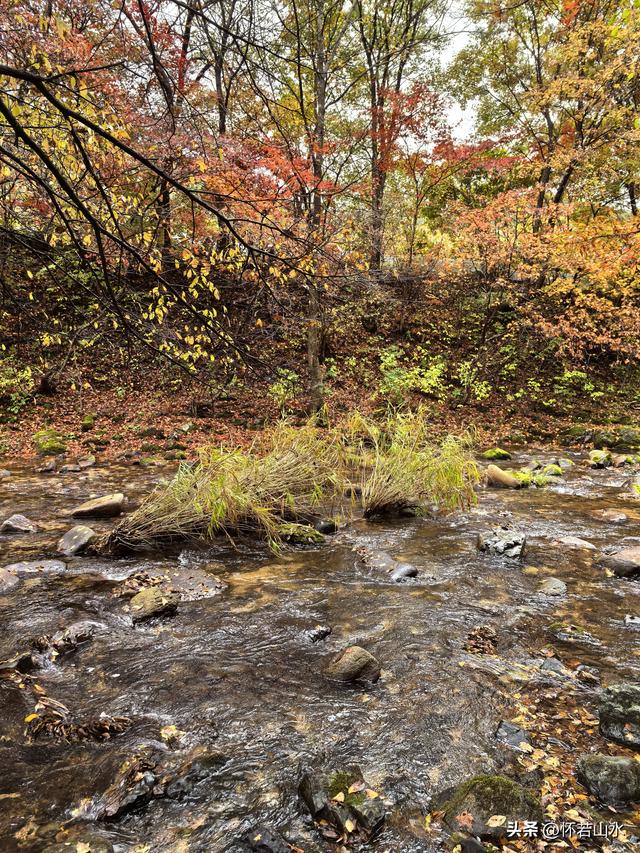 2025辽宁赏秋之旅日记(3)——游览洋湖沟和老边沟