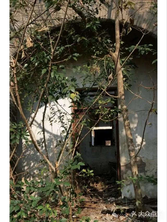 走进大南门，陈独秀旧居（活塞环厂）身披迷彩服脱胎换骨？