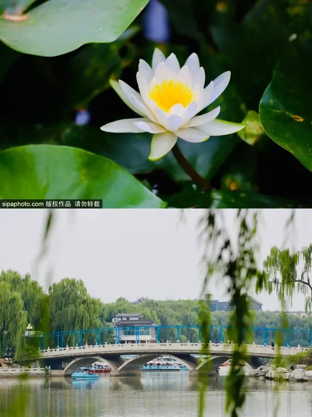 热播剧《许我耀眼》取景地大揭秘！就在——