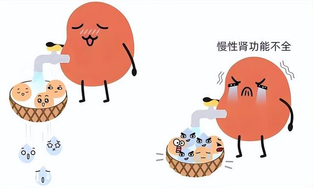 养肾如养根，肾不好的建议多吃这6样食物，强肾益精气