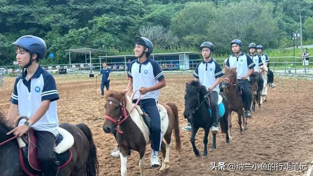 亲测！超好玩的广西百色冷门线路，还可打卡张馨予同款秘境！