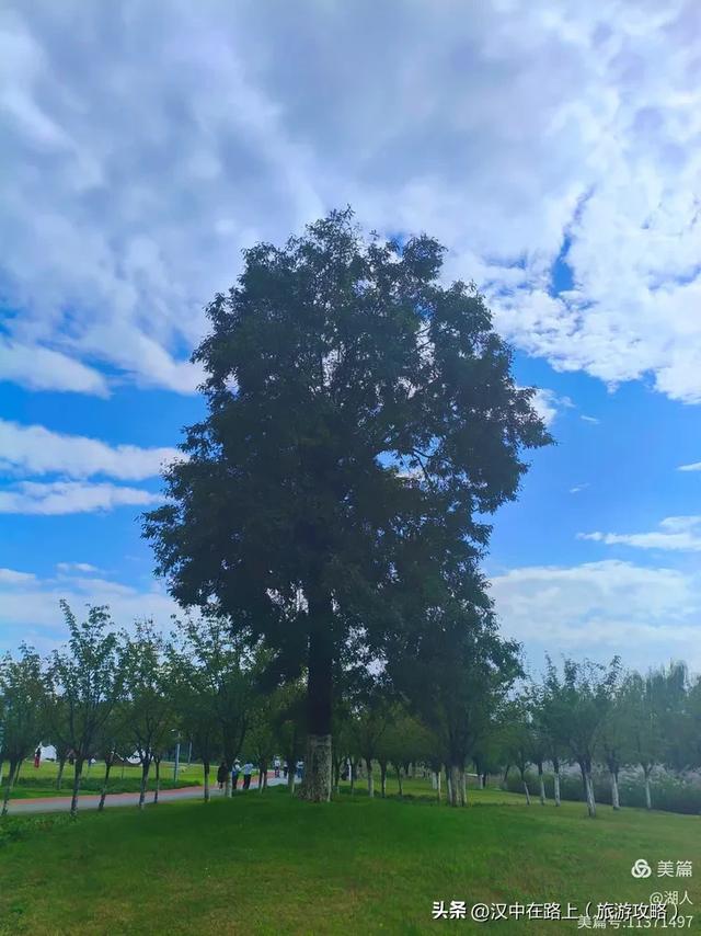 秋雨中的汉中湿地
