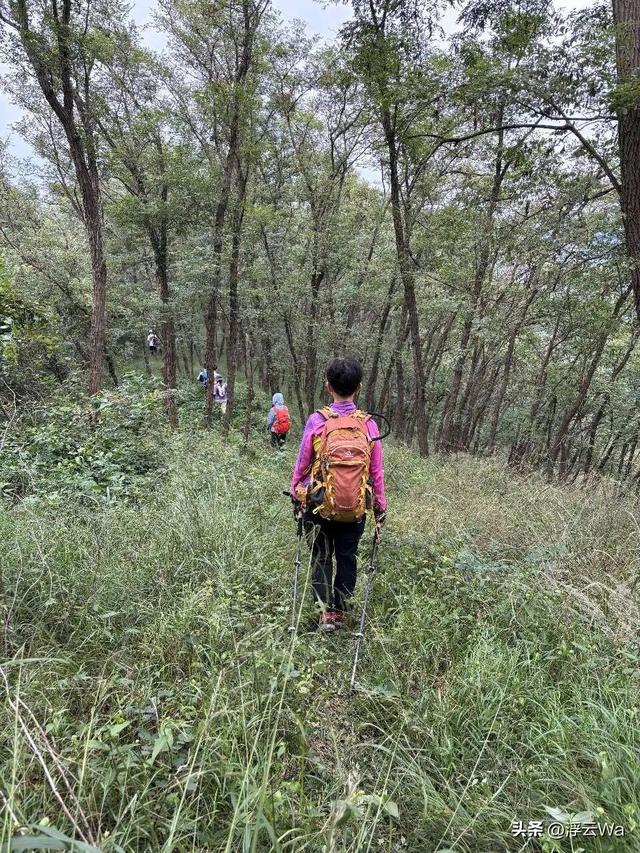 ​​​忍着胸上方肋骨的疼痛，爬了个齐长城，累计拔高900+，走了13公里