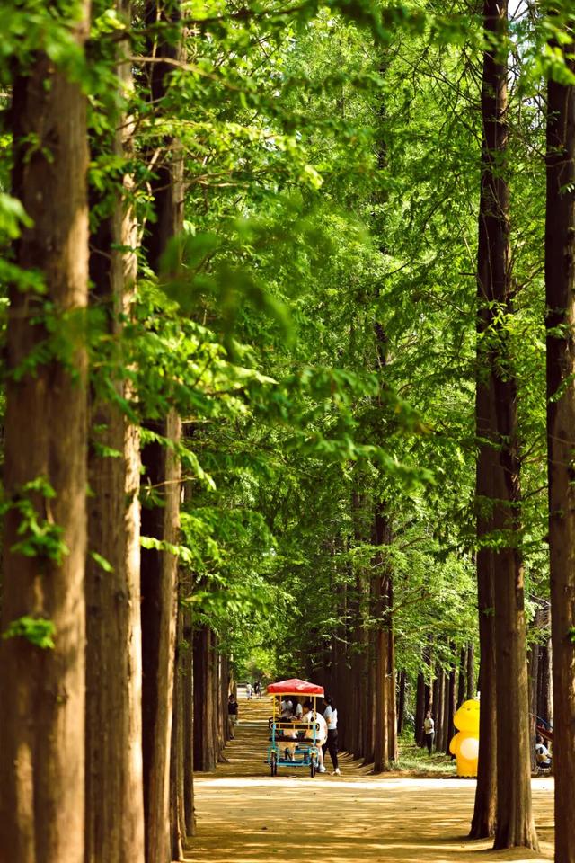 康养旅游，为何选日照？