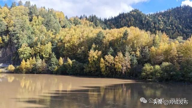 赴一场勒秀之秋：风染彩林，心归自然