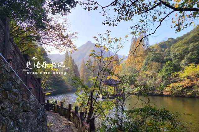 宁波这个丛林秘湖又火了，银杏与红枫美成油画，很适合拍照与休闲