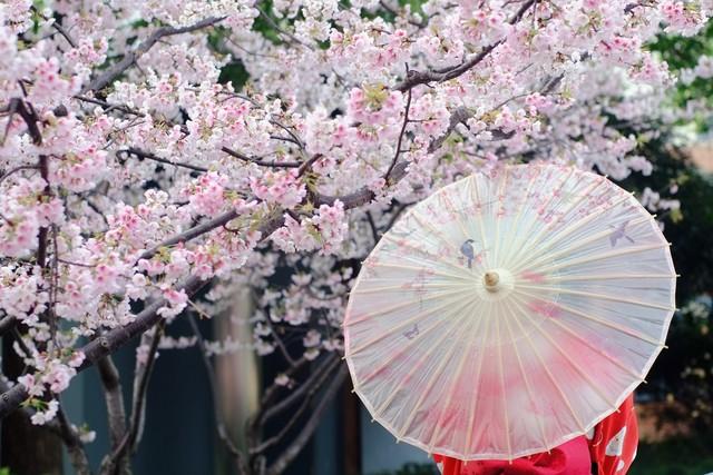 内心烦躁、焦虑，不妨看看这16句宁静优美的句子，句句走心