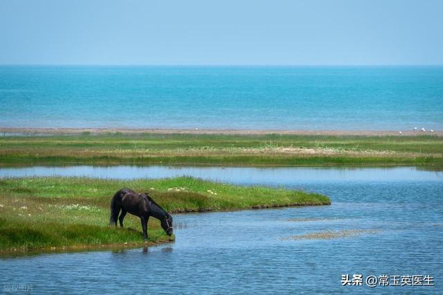 俞敏洪青海之旅第九天