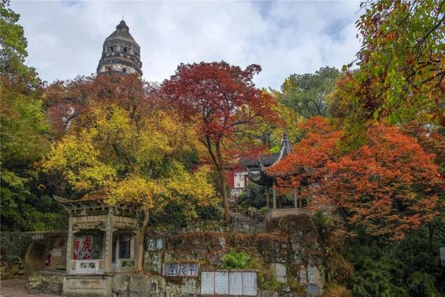 来虎丘山，这里有你更好看！