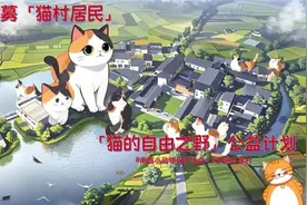 【猫村】总动员~缺个会画墙绘/会撸猫的你！图片