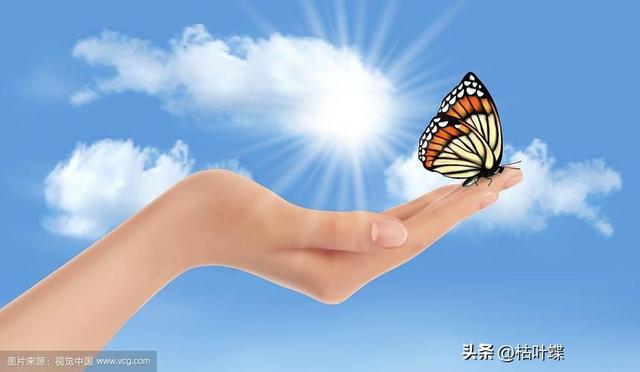 秋风不在冬风起，谁又窗前盼春花