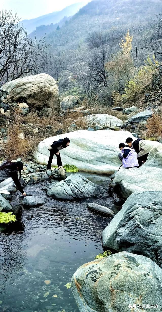 李子柒式的诗意栖居，赞皇也有！