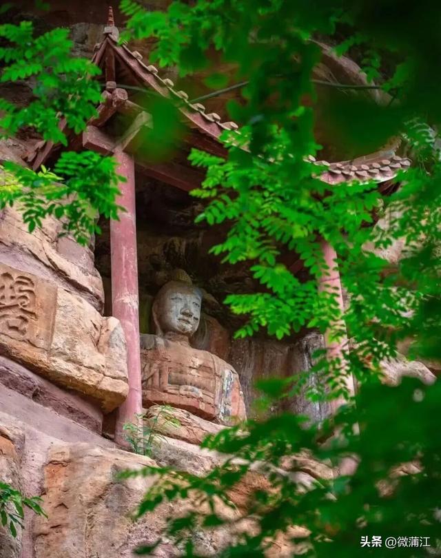 “骑”遇惊喜，快来成都蒲江“醉氧”绿道，开启你的追风之旅！