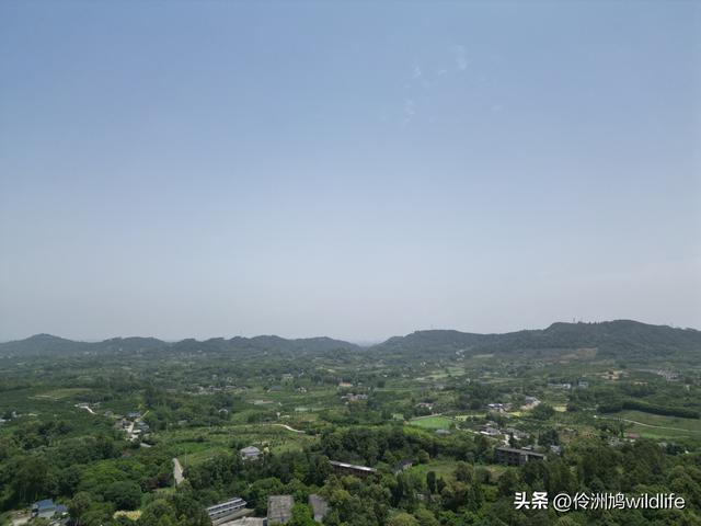 成都徒步（64）·新津篇③观音寺