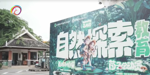 暑期研学新选择：走进西双版纳 感受自然与文化的奇妙碰撞