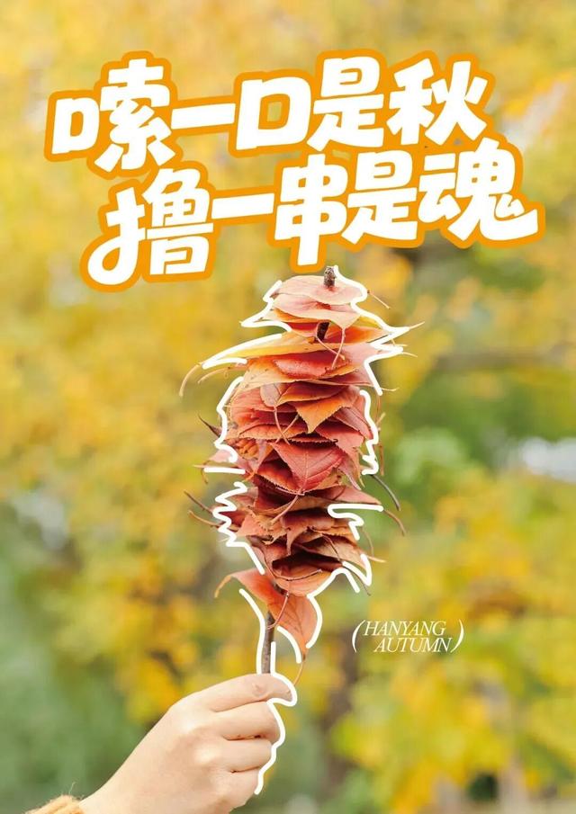 汉阳的秋天也太会了，“捡秋”比赏秋更上瘾