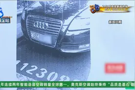 能借奥迪，没钱赔偿？收费员大姐被打，有后续了图片