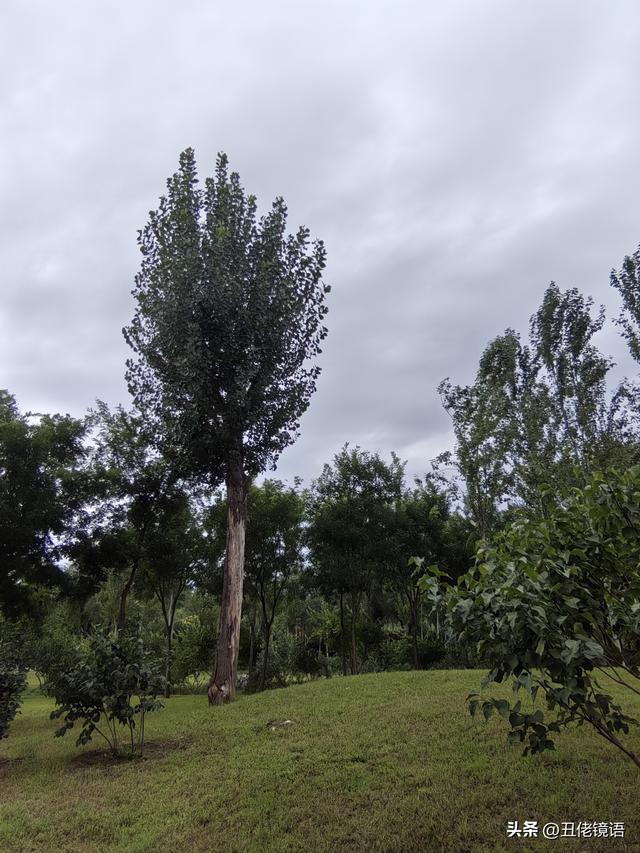 自拍影集（40）减河公园：藏于时光间的静谧之美
