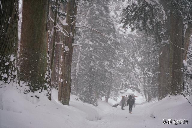 说起冬季日本看雪，难道只有北海道吗？