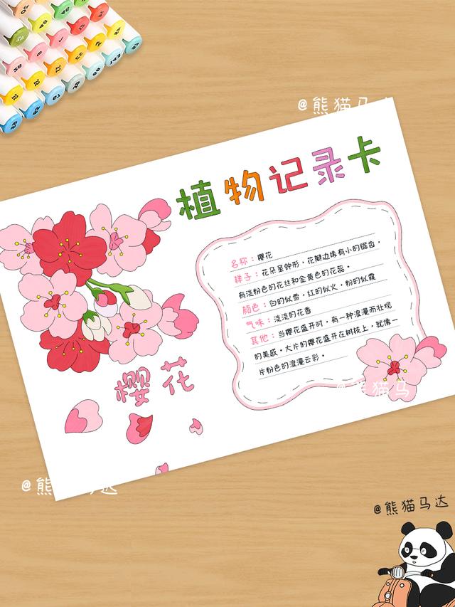 植物记录卡手抄报合集 01 💐