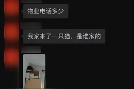 寒冬里宠物猫“离家出走”，警察及时帮忙图片