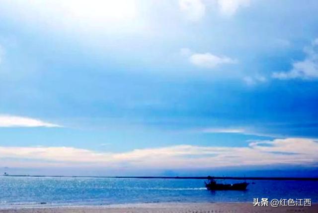 极南暖冬里，艺术在蚝壳上发光