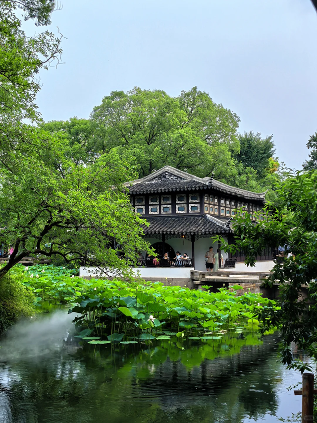 可当天往返！上海坐至苏州，最快30分钟直达！景美又好玩！