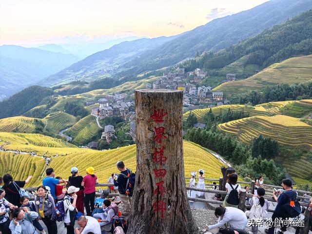 国庆期的龙脊梯田，即使是用老人机，也能拍出最动人的秋景与秋色