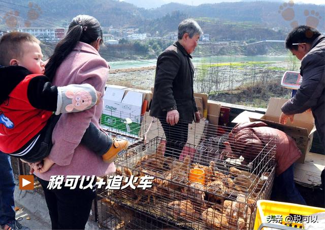 阳平关：宝成铁路的重要站点，古蜀道上的岁月遗珠