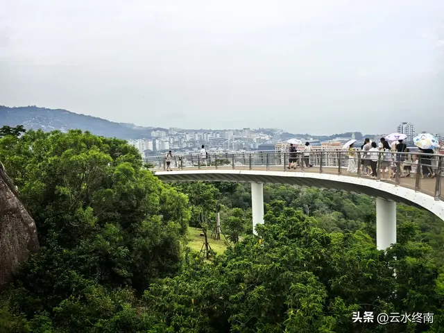 一个五A级植物园，到底藏着哪些值得看的地方，这是最实在的攻略
