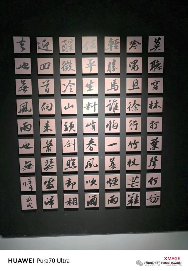 郑州人速来！苏东坡大型主题展逛展攻略来啦